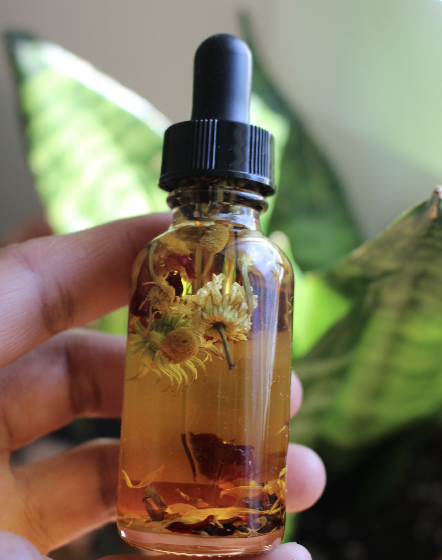 Dream & Sleep Tincture