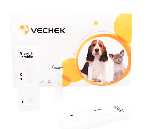 Prueba Rápida del Antígeno de Gardia (Ag) en cassette - Caja con 10 pruebas - VECHEK