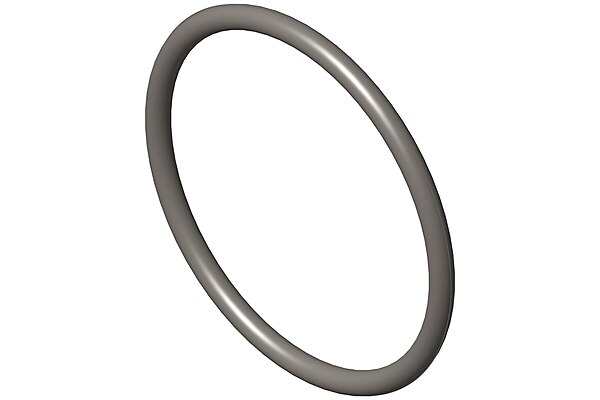 O Ring Seal