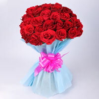 Dual Surprise Dual Surprise