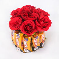 Genetic Red Star Genetic Red Star