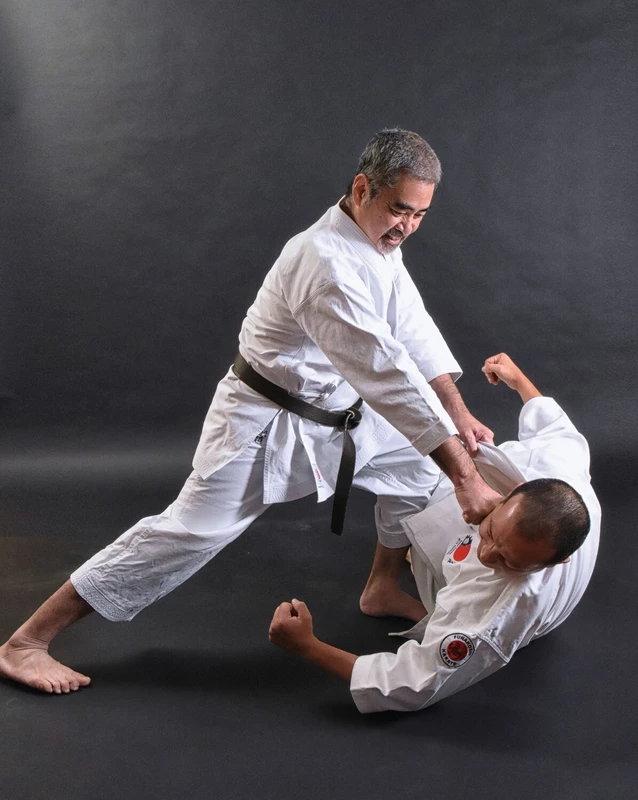 Seminario Familia Funakoshi En Mexico