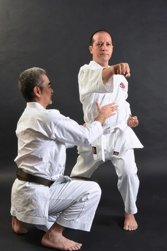 Seminario Familia Funakoshi En Mexico