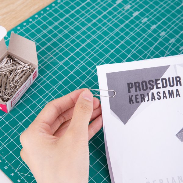 DELI E39712 SILVER PAPER CLIPS 33MM 100s