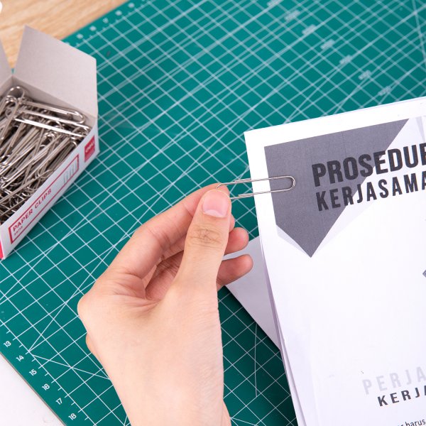 DELI E39713 SILVER PAPER CLIPS 50MM 100s