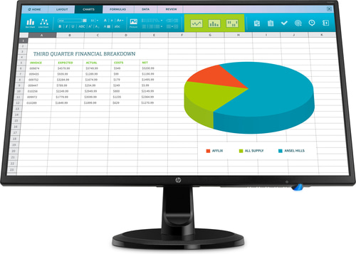 HP N246v Monitor 24-inch Monitor