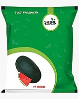 WaterMelon Messi (Icebox) F1 - Shine Brand Seeds (10 Gm)