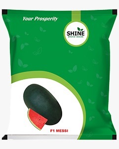 WaterMelon Messi (Icebox) F1 - Shine Brand Seeds (10 Gm)