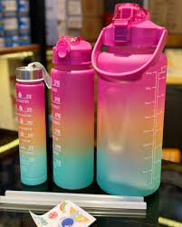 3in1 Water Bottle