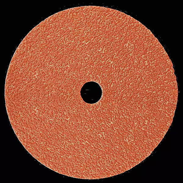 3M Fibre Disc 787C 5 Inx 7/8 In 36+