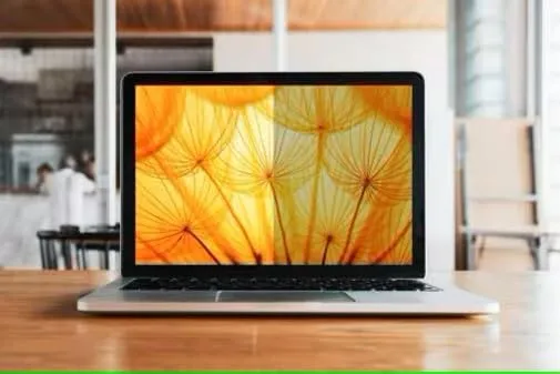 3M Bright Screen Privacy Filter for 13.3in Full Screen Laptop (16:10)
