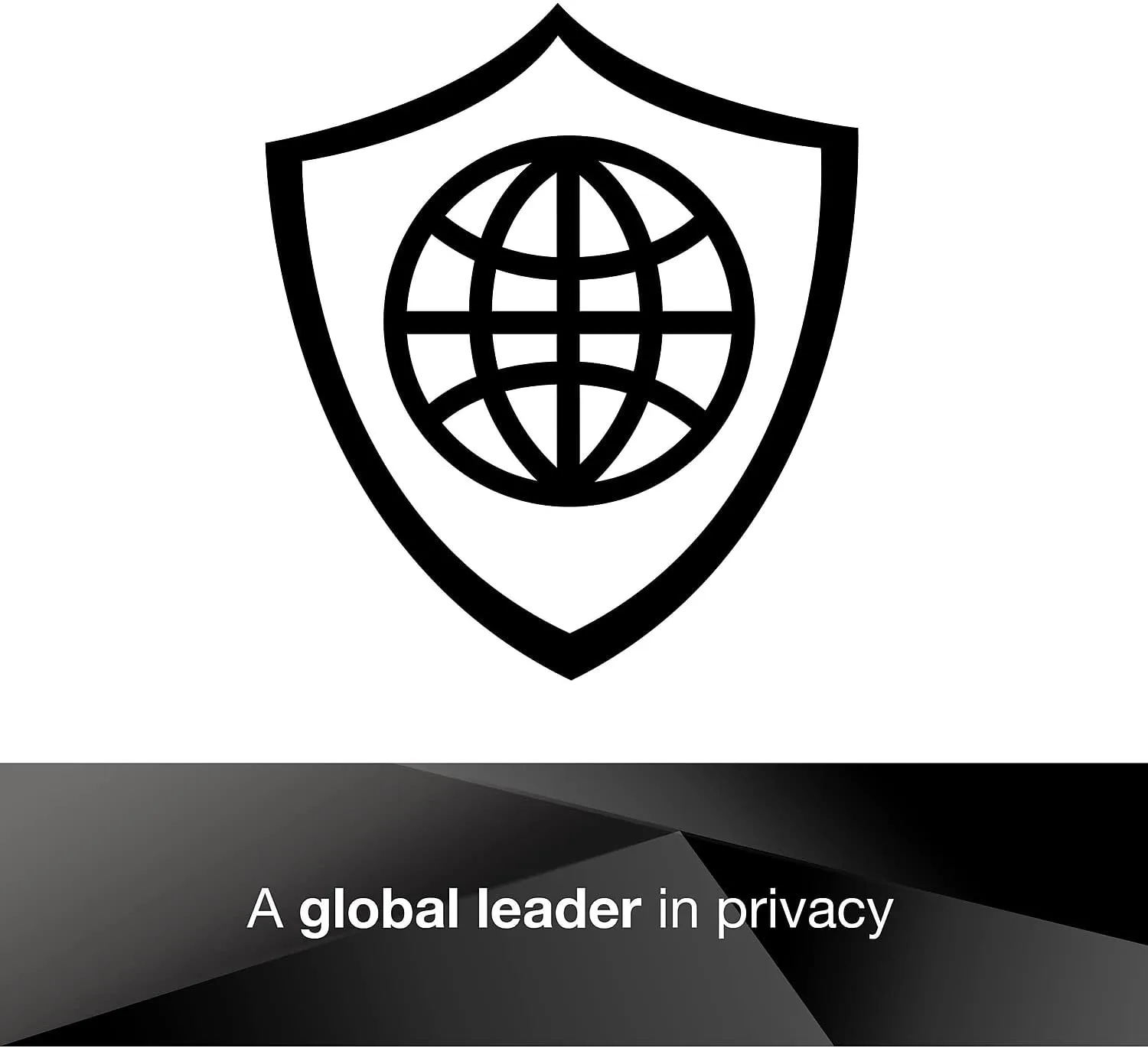 3M Frameless Black Privacy Filter for Widescreen Monitors