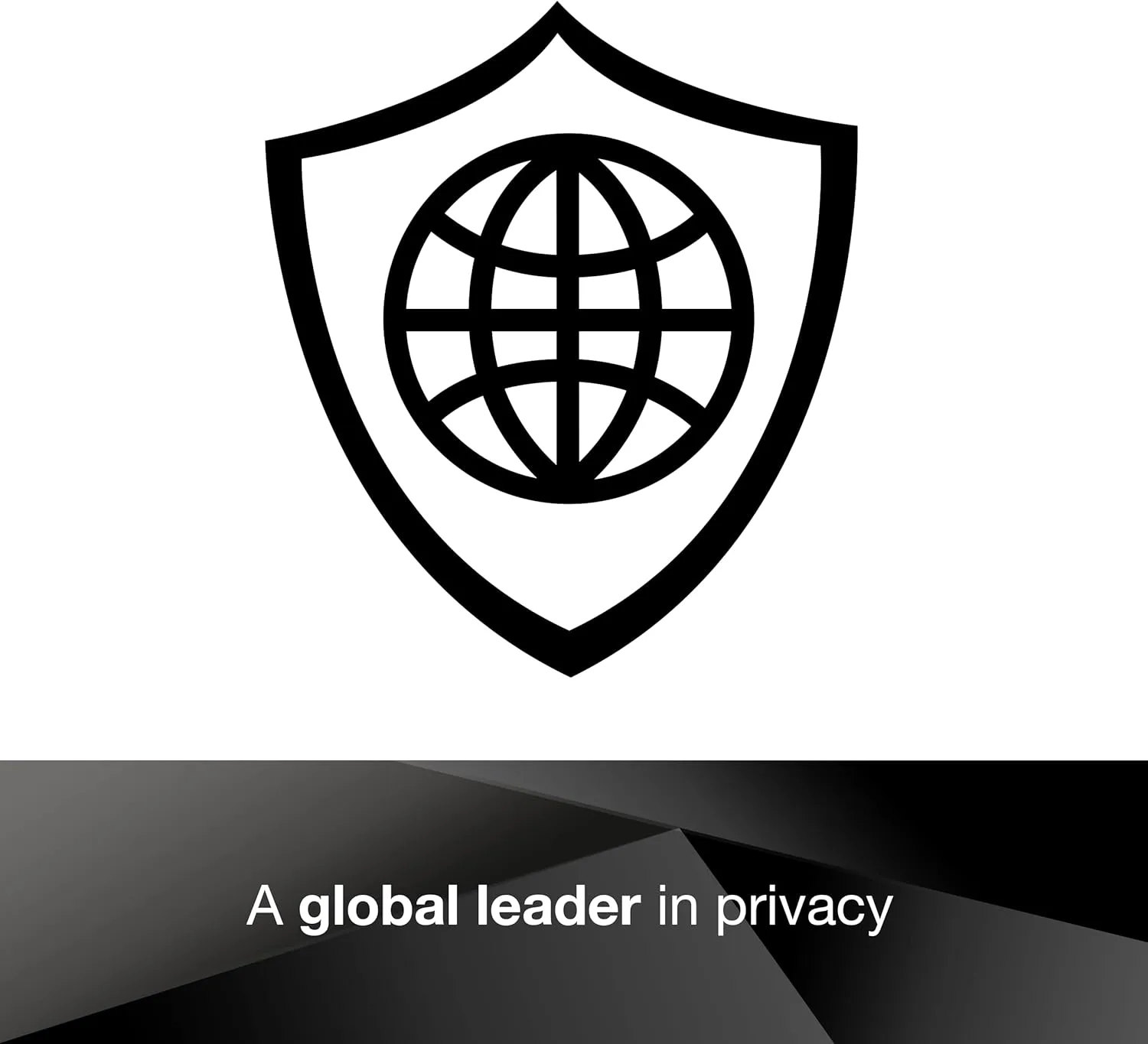 3M Privacy Filter for Monitors - Microlouver Privacy
