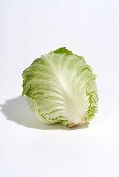 Baby White Cabbage