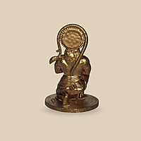 lord anjaneya-3D Priented idol