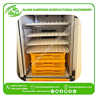 Egg Incubator Size 352