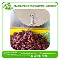 Date Cleaning Machine – 8 Roll – Small Size