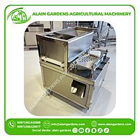 Date Pitting Machine – Industrial Model – High Efficiency