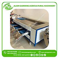 Date Sorting Machine – 3 Size Levels – Industrial Model