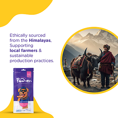 Yak Cheese Chew Original - L (1 Pc)