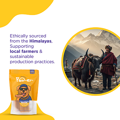 Yak Cheese Chew Turmeric - L (3 Pcs)