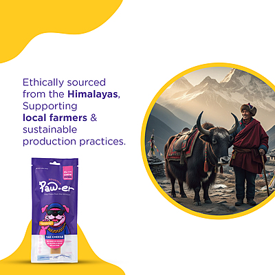 Yak Cheese Chew Original - XL (10 Pc)