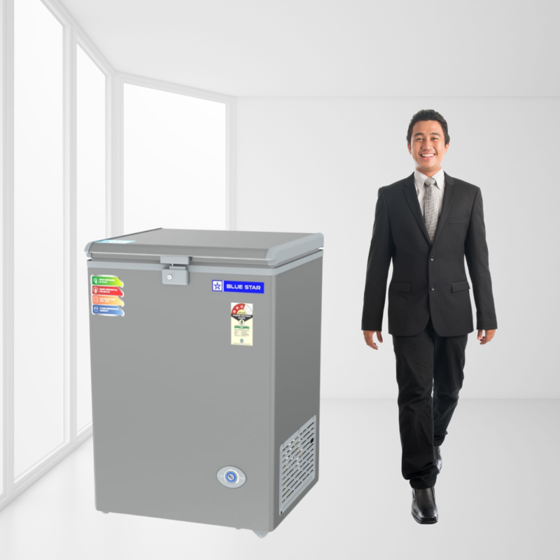 Close-up of the Thermostat Control on the Blue Star Small Deep Freezer CF3-130NPYW-SL