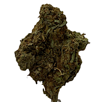 Cerrito Kush Exterior Regular