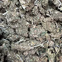 Amnesia Haze Exterior