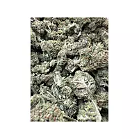 Blue Dream Greenhouse Exotic Living Soil
