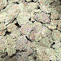 Dos Si Dos Greenhouse Select