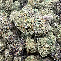 Cherry Pie Greenhouse Exotic
