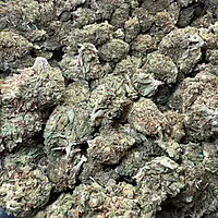 Maui Wowie Greenhouse Standard