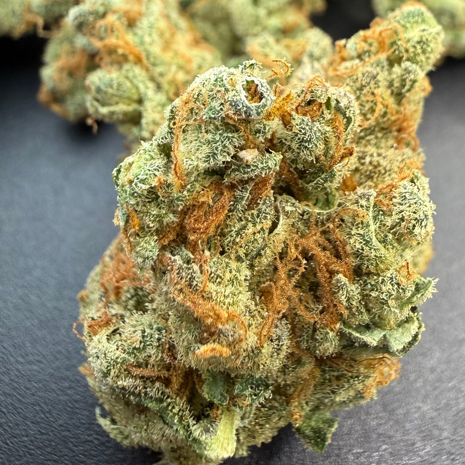 Chem Funk Indoor Hidropónica
