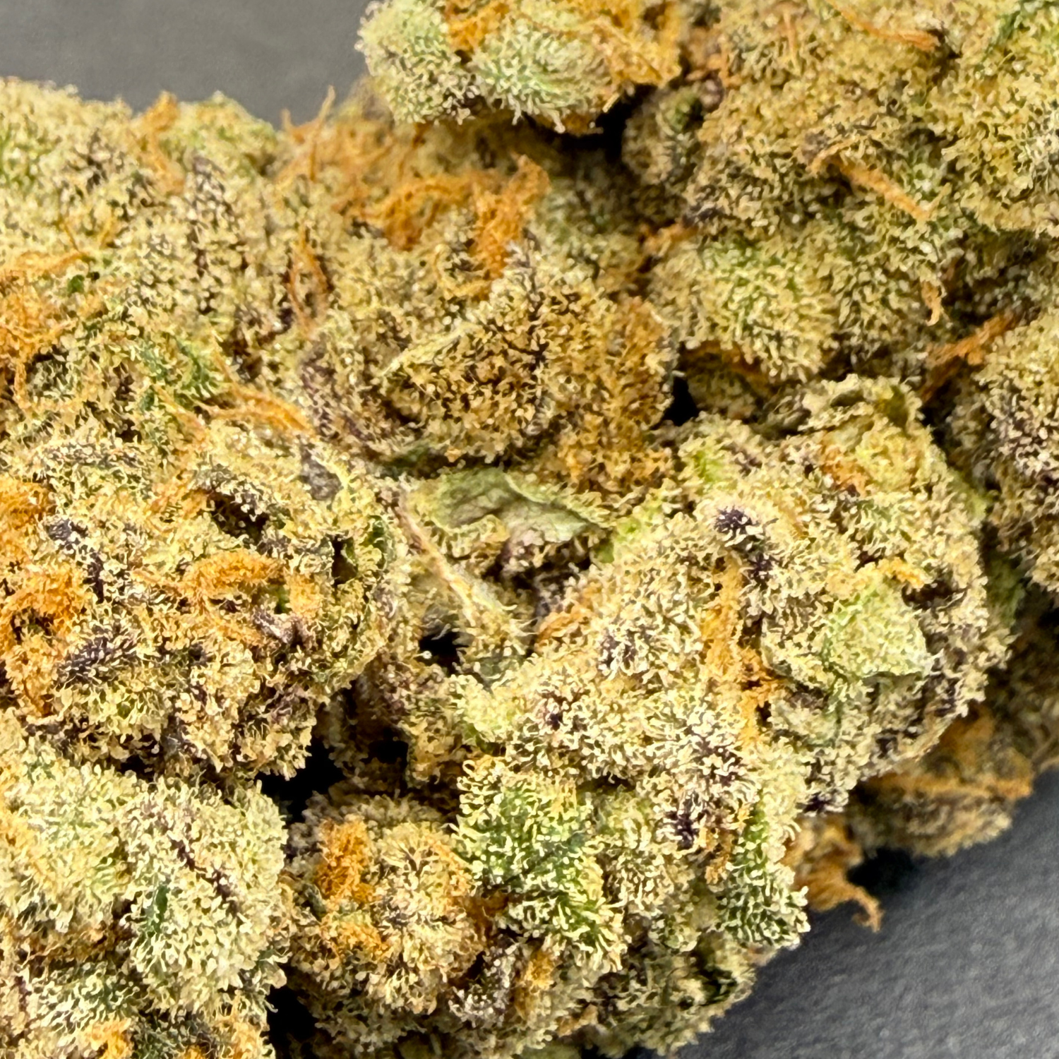 Martian Candy Nugget Indoor Hidropónica