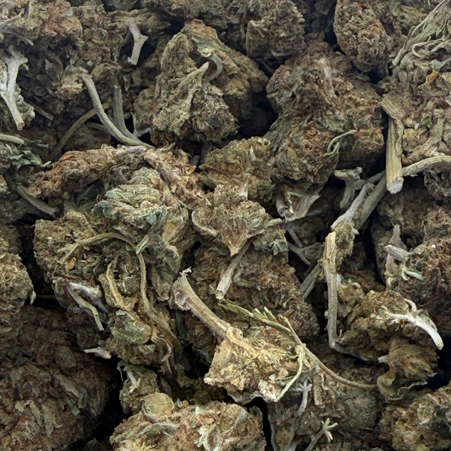 Northern Lights Exterior Regular