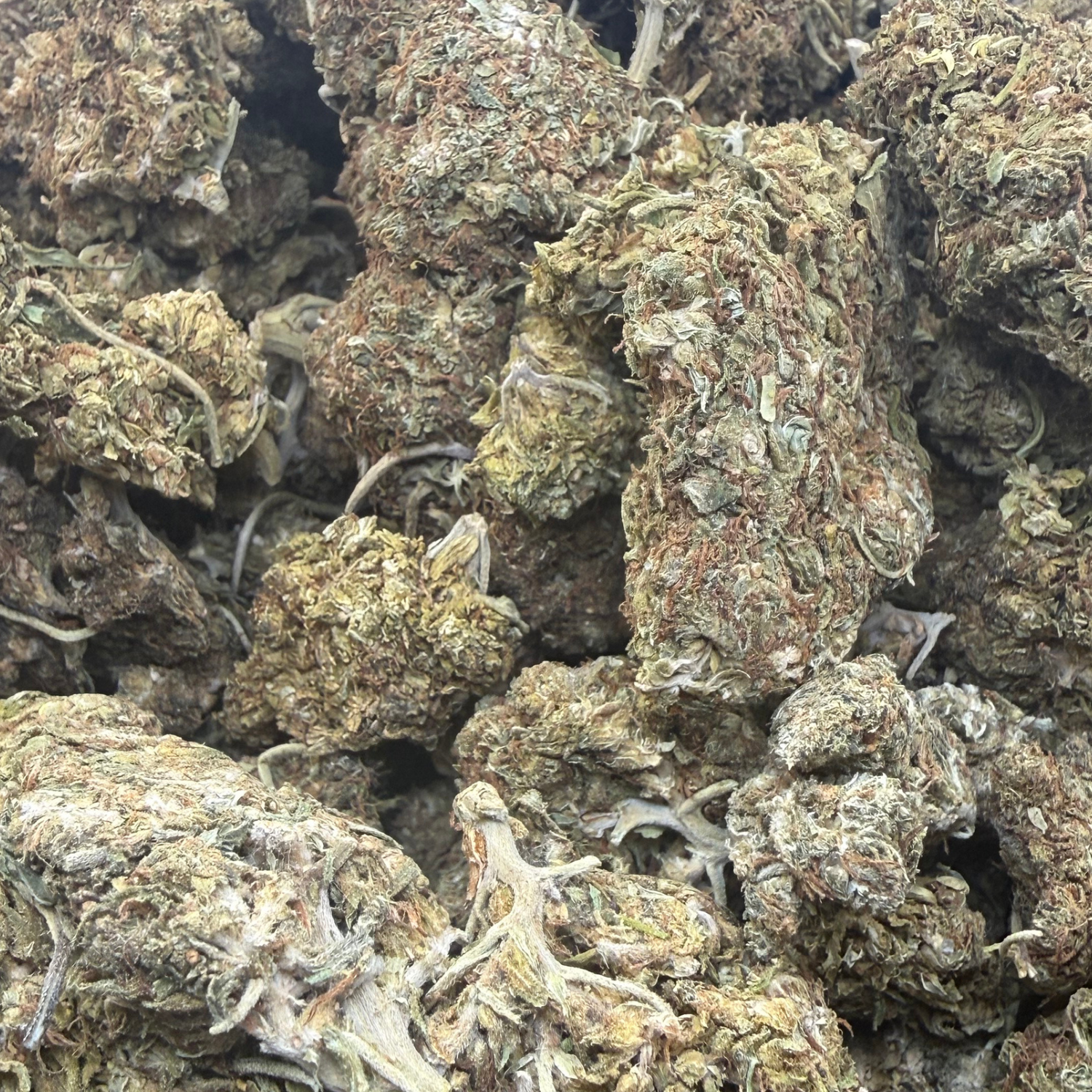 Pineapple Express flor exterior regular