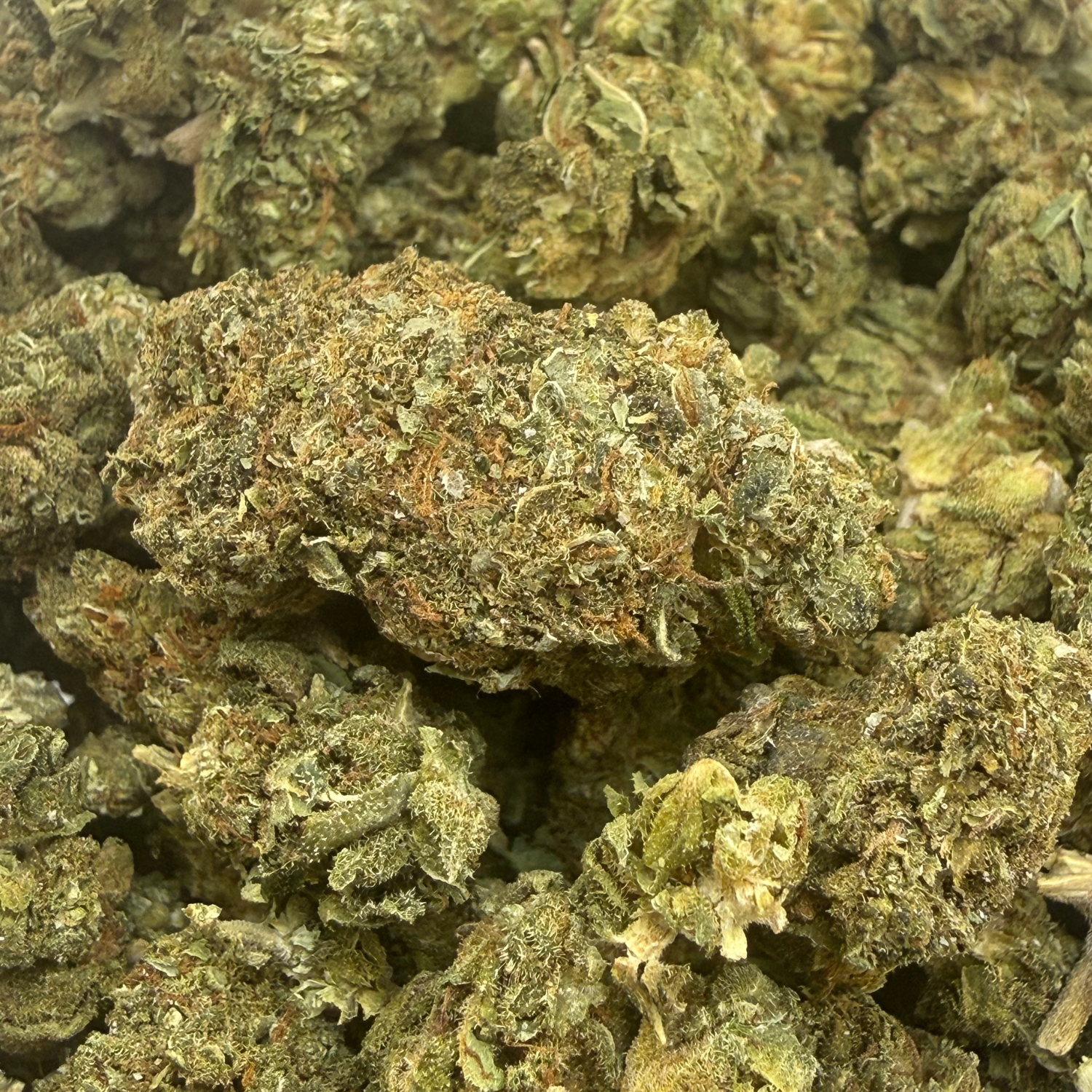 Kosher Kush Exterior Regular