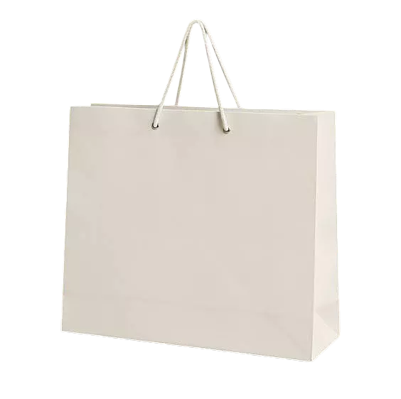 WHITE PAPER BAG 4
