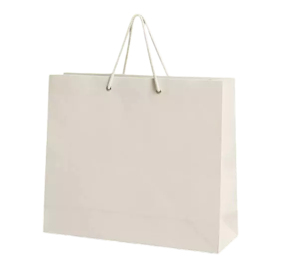 WHITE PAPER BAG 4