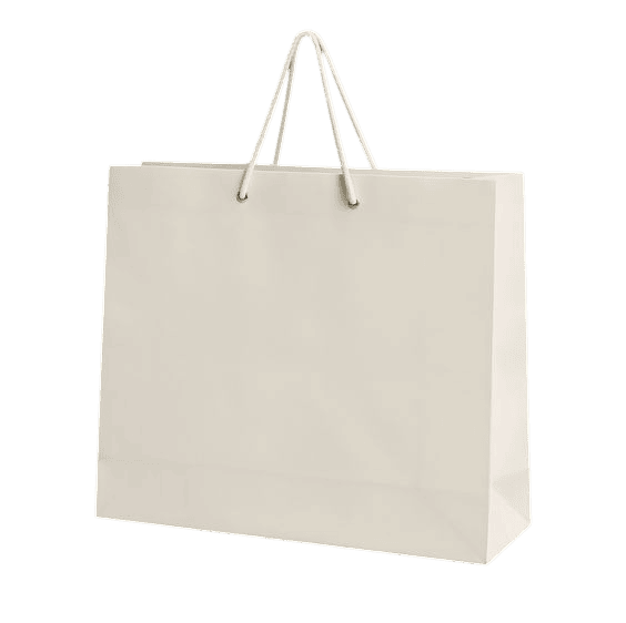 WHITE PAPER BAG 4
