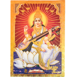 Goddess Saraswathi With Gold Colour Zari Photo Picture 9 x 11 Size
