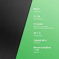 REC 395W 132 Half-Cell 1000V BLK/BLK Solar Panel, REC395AA PURE