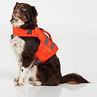 NRS CFD Dog Life Jacket NRS CFD Dog Life Jacket