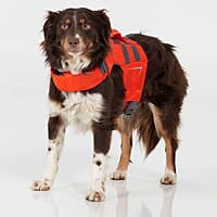 NRS CFD Dog Life Jacket NRS CFD Dog Life Jacket