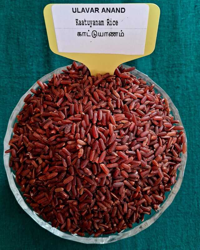 KAATUYANAM RICE (காட்டுயாணம்)  -1KG