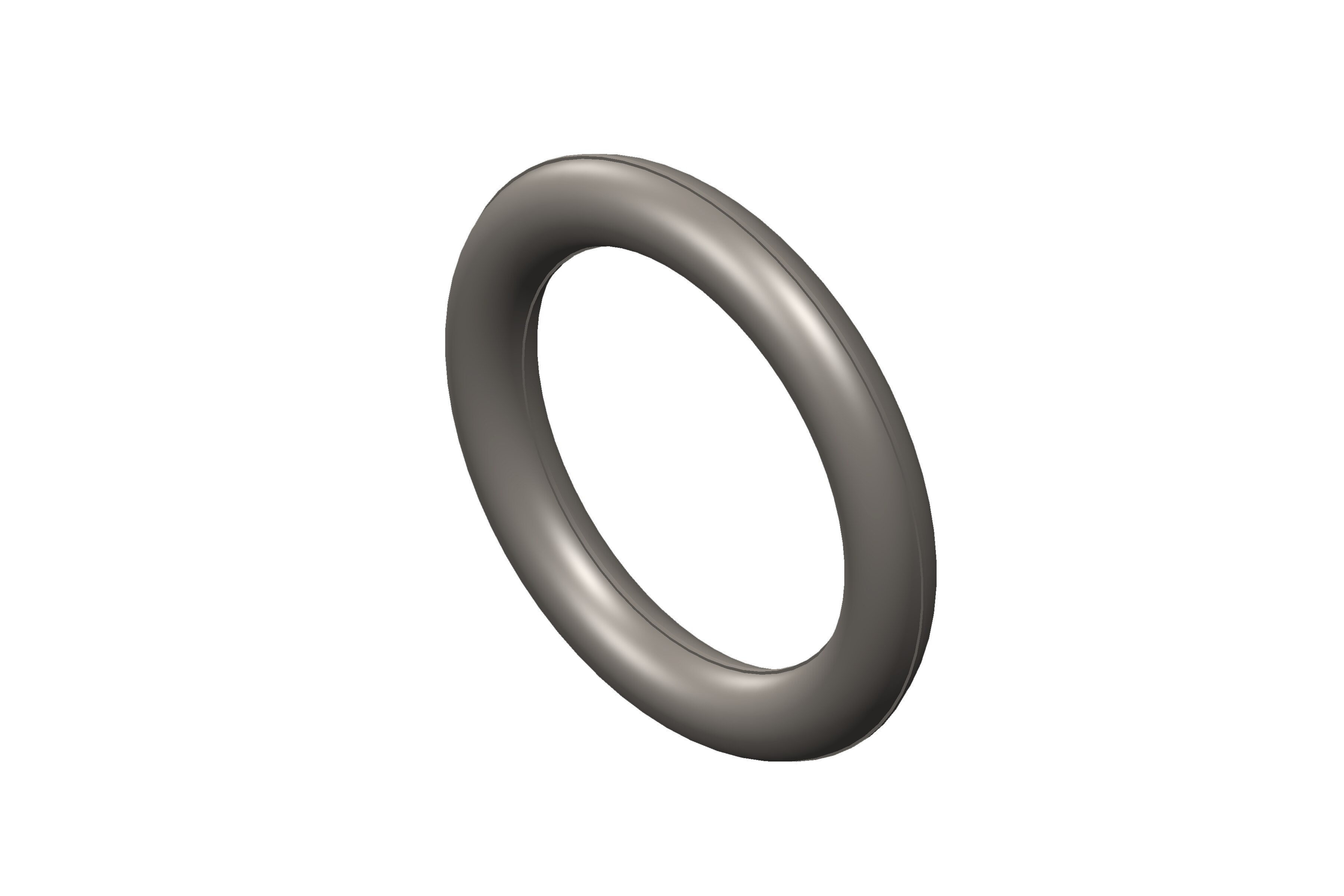 O Ring Seal