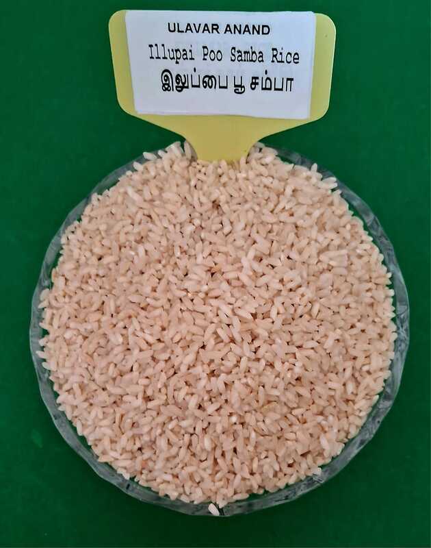 இலுப்பை பூ சம்பா 500 G|Illupai Poo Samba Rice 500 G