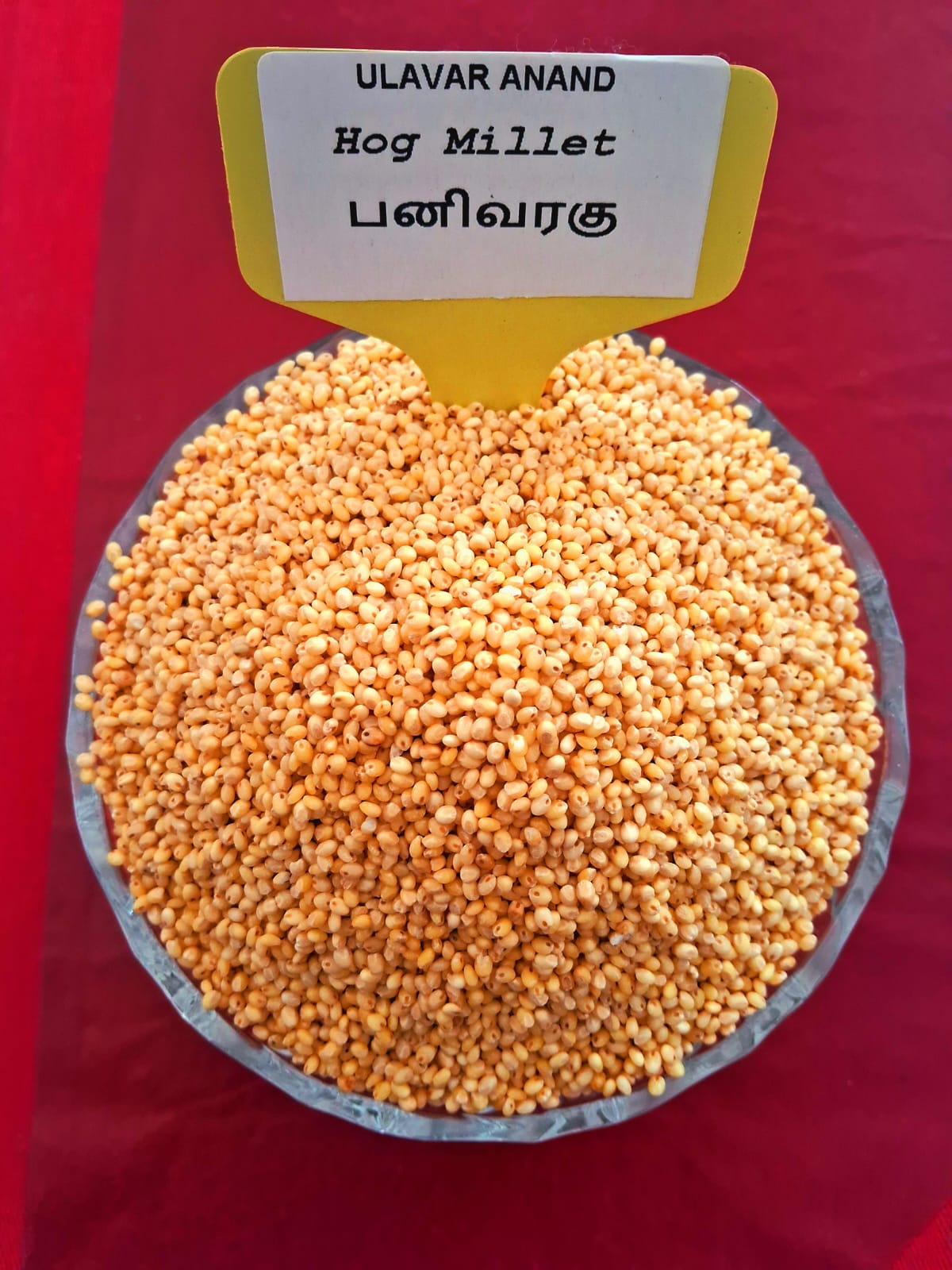 பனிவரகு 500 G | Hog Millet 500 G
