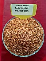 VARAGU KODO MILLET 1 KG (வரகு  | 1 Kg)